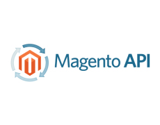 Autocomplete Search Magento Customer by API Call